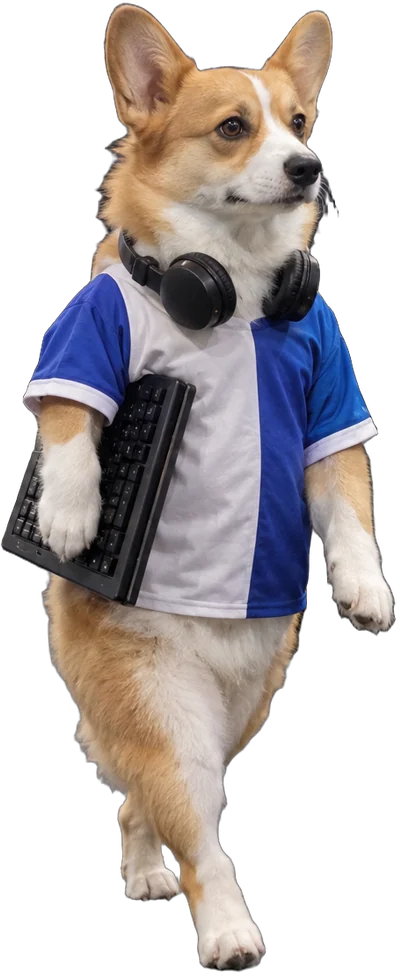 tan-and-white corgi, Esports player