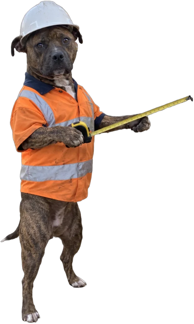brindle staffy-type, Builder