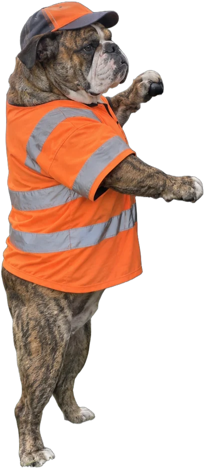 brindle English bulldog, Tow-truck driver