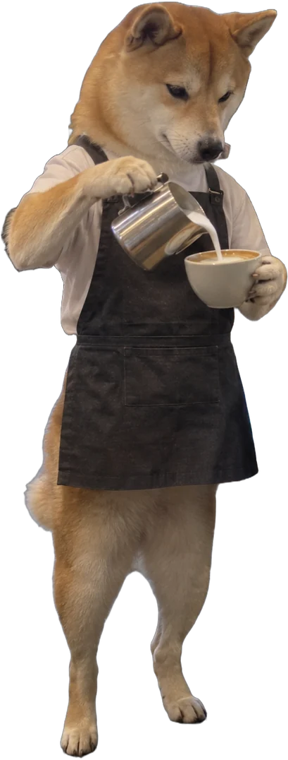 cream-and-red shiba-type, Barista